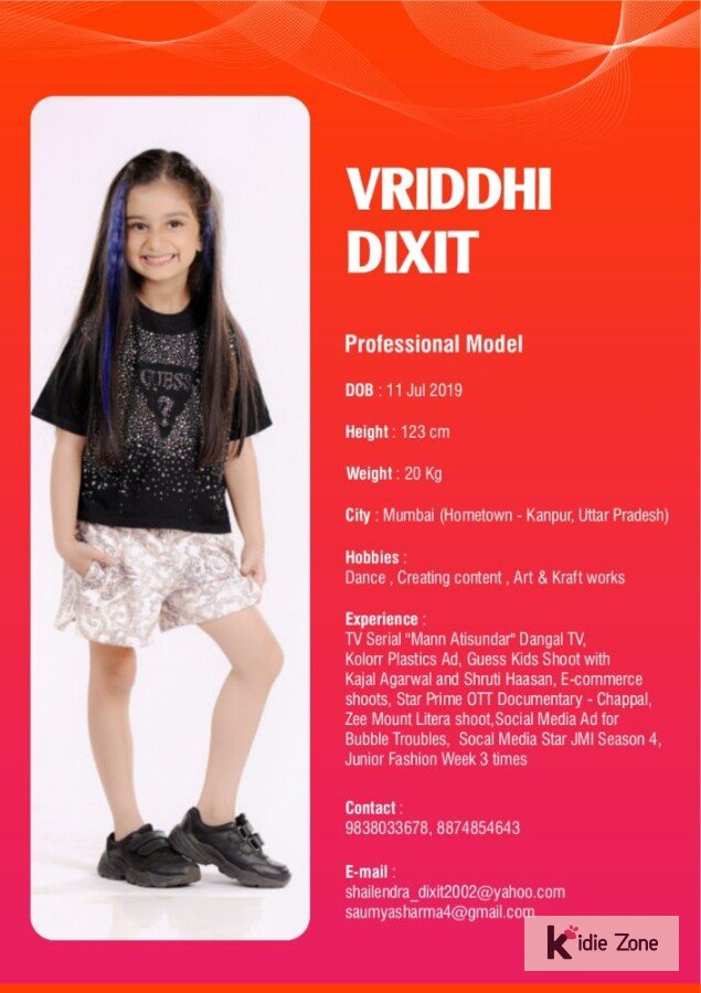 Vriddhi Work Experience