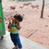 IMG_20260204_201746
