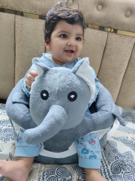 Ranvijay Singh
