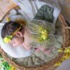 baby_fairy_under_1mb
