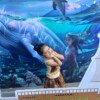 IMG_0772 IMG_0772