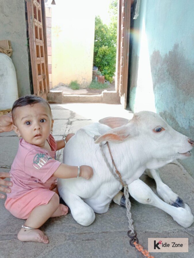 Swarnav rohit joshi image Swarnav rohit joshi