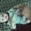 IMG20261010114354.jpg